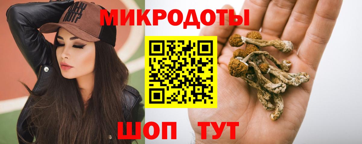 Галлюциногенные грибы Magic Shrooms  Псилоцибиновые грибы Psilocybine cubensis  Сегежа  купить  цена  Вход с VPN 